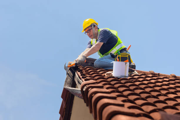 4 Ply Roofing in Little Canada, MN